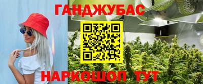 mdpv Кандалакша