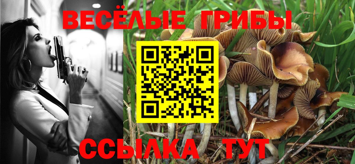 Псилоцибиновые грибы ЛСД Елизово